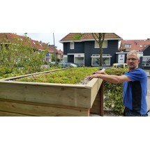 Afdakje voor bakfiets met sedumdak