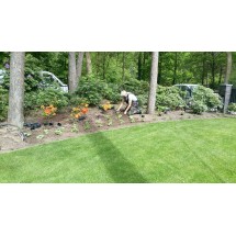Borders aanplanten