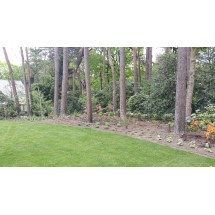Borders aangeplant