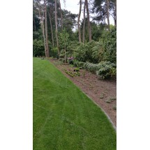 Borders aangeplant